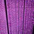 チームラボプラネッツ TOKYO (teamLab Planets TOKYO) DMMの写真_416341
