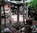 蚕ノ社駅の写真_65149