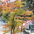 香嵐渓の写真_206084