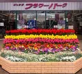 あしかがフラワーパークの写真_226142