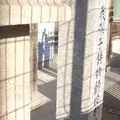 山之内元町公園の写真_996893