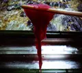 ひろ文の写真_144616