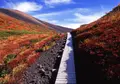 秋田駒ヶ岳の写真_153499