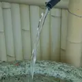 白菊水の写真_184479
