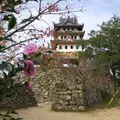 すもとアルファビアミュージアムの写真_29699