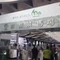 京都競馬場の写真_126238