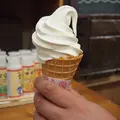塩屋 宮古店の写真_52913
