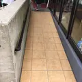 魚華の写真_96218