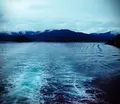 加計呂麻島の写真_38699
