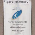 丸山総合公園の写真_44091