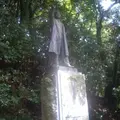 明治の森箕面国定公園の写真_35049
