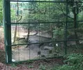 茨城県鳥獣センターの写真_30913
