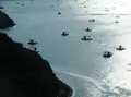 堀越海峡の写真_21260