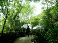 ヴェランダの写真_25746