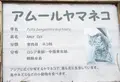 高鼻町４丁目の写真_27507