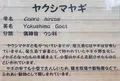 高鼻町４丁目の写真_27794