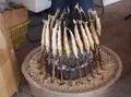 柿の郷くどやまの写真_28657
