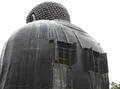 鎌倉大仏（高徳院）の写真_37099