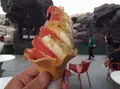 鶴岡市立加茂水族館（クラゲドリーム館）の写真_46902