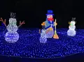京都イルミエールの写真_52504