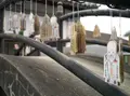 宝生寺の写真_55986