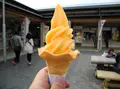 道の駅 月見の里南濃の写真_58599