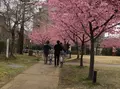 宇都宮城址公園の写真_67199