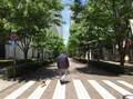 丸の内の写真_68066
