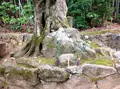 地蔵院（竹の寺）の写真_77711