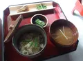 小杉の大杉（トトロの木）の写真_79002
