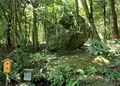 出雲大神宮の写真_99334