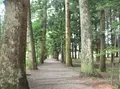 眼目山立山寺（通称さっかのてら）の写真_146471