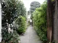 不動通り商店街の路地の写真_149548