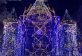ひろしまドリミネーションの写真_1502581