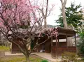 ヒガシマル梅園の写真_168985