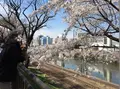 飯田橋駅の写真_171334