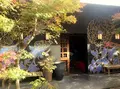 イクスカフェ 嵐山本店 （eX cafe）の写真_210047