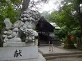 春日山神社の写真_259299