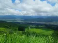 魚沼スカイラインの写真_259481