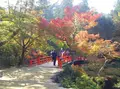 紅葉谷公園の写真_279525