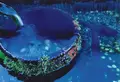 生水の郷の写真_444174