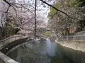 豊住橋（バス）の写真_498250