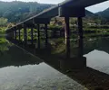 佐田沈下橋の写真_28731