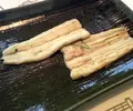 西麻布　いちのやの写真_37090