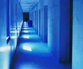 ワンダーフォーゲルフィールドの写真_41002