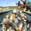 広沢池の写真_66632