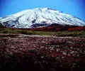 旭岳の写真_124523