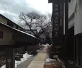 小布施町の写真_126248