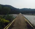 佐田沈下橋の写真_133733