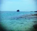 大浜海浜公園の写真_142537